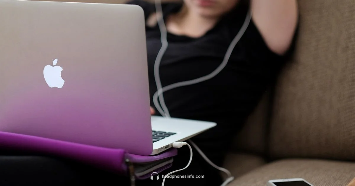 Price Guide 2026 - Headphones Info