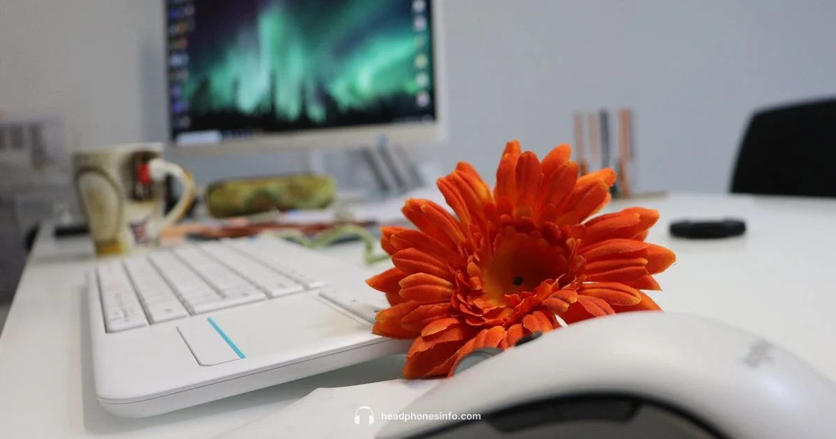 Wireless Headphones 101 - Headphones Info