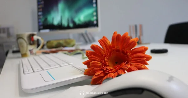 Wireless Headphones 101 - Headphones Info