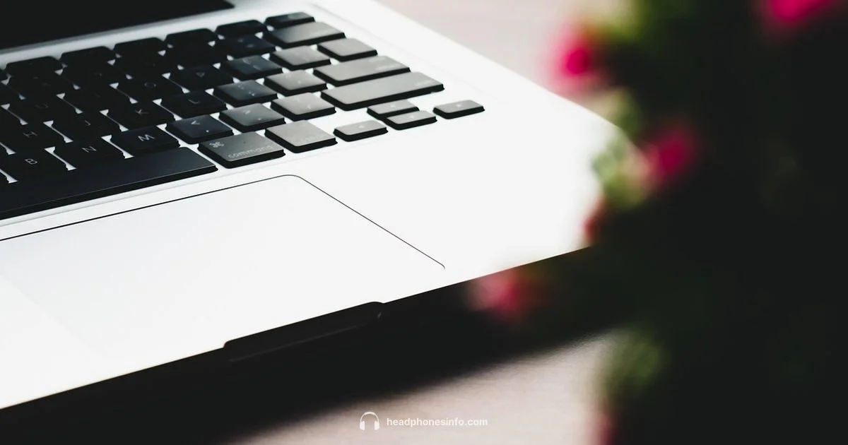 Apple Headphones Pro Apple Headphones Pro - Headphones Info