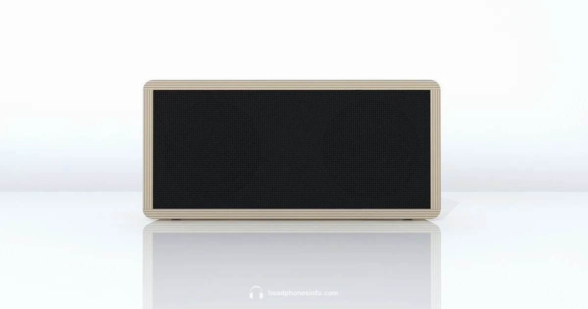 Check Headphone Connection - Headphones Info