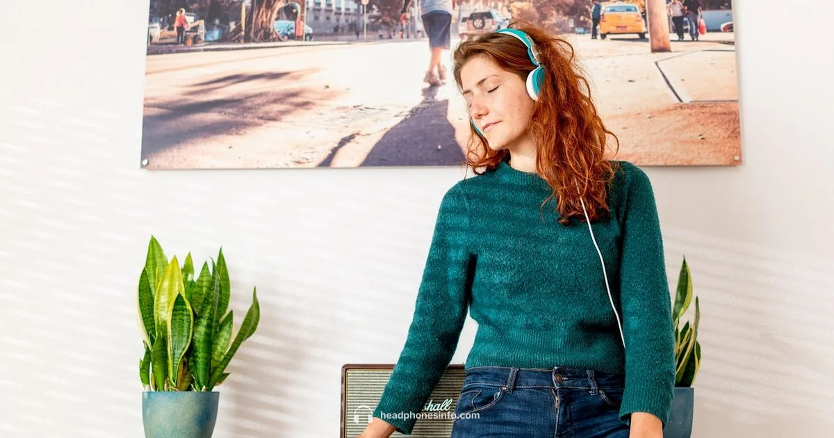 Is Sonos Worth It - Headphones Info