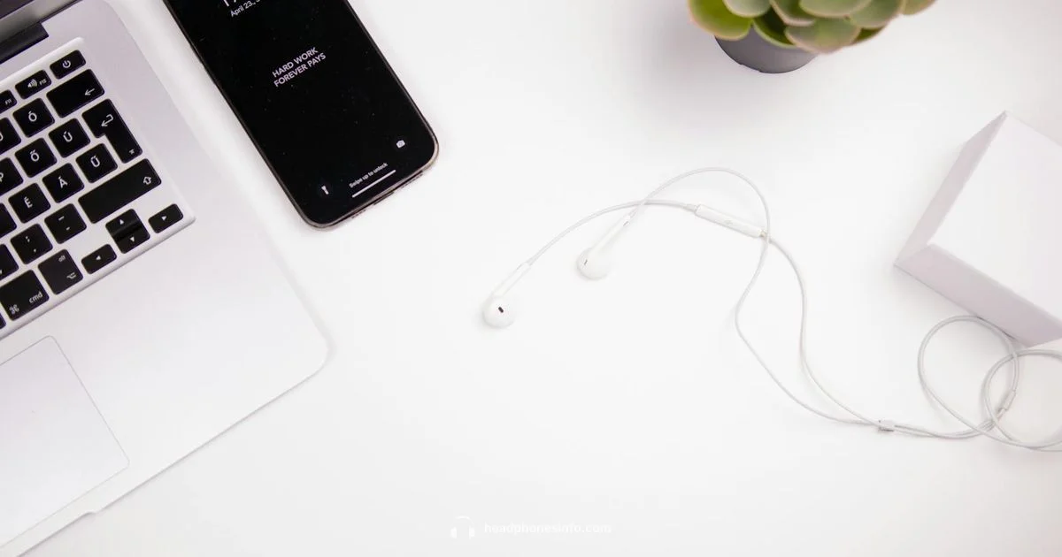 Wired Headphones Guide - Headphones Info