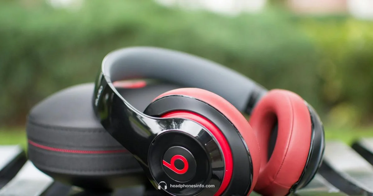 Beats Headphones Overview - Headphones Info