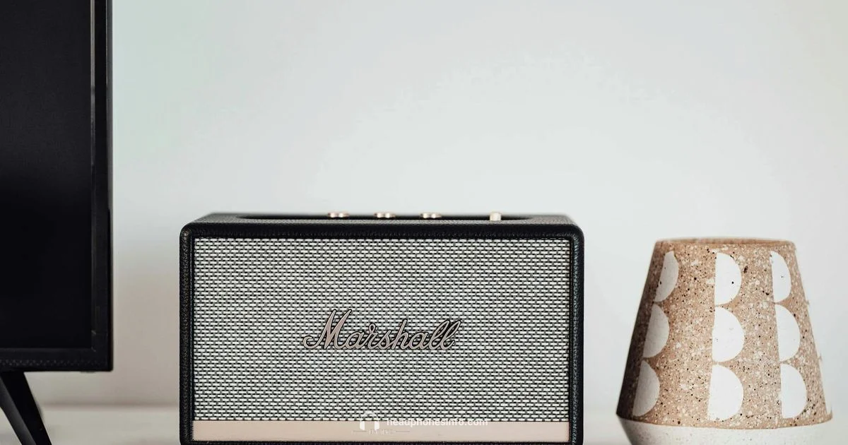 Wireless Audio Bridge - Headphones Info