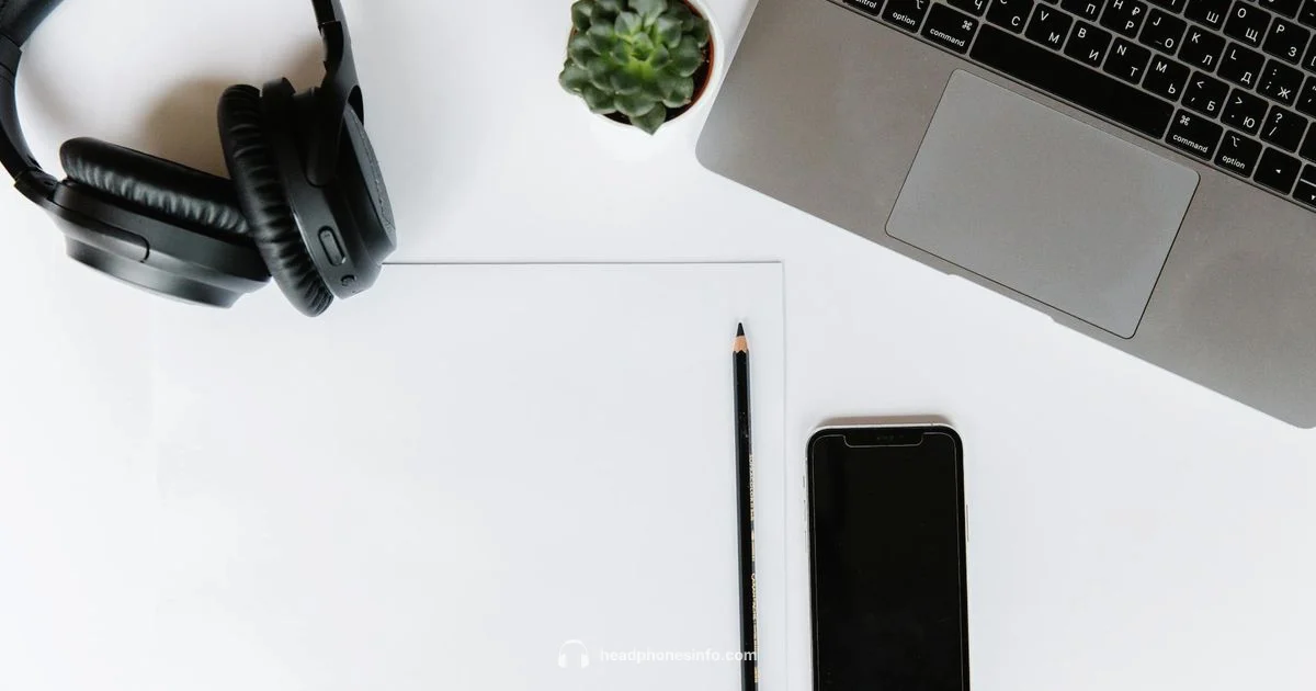 iPhone Headphones Guide iPhone Headphones Guide - Headphones Info