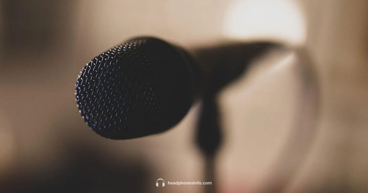 Beats Mic Guide - Headphones Info