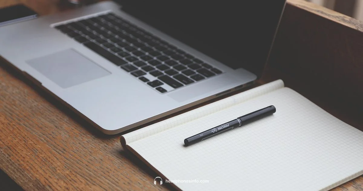 Headphones Input Debate - Headphones Info