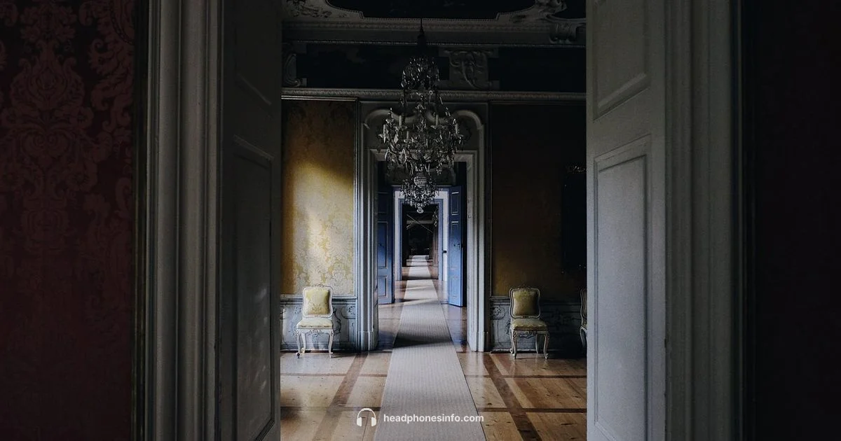 Headphones Through Time - Headphones Info