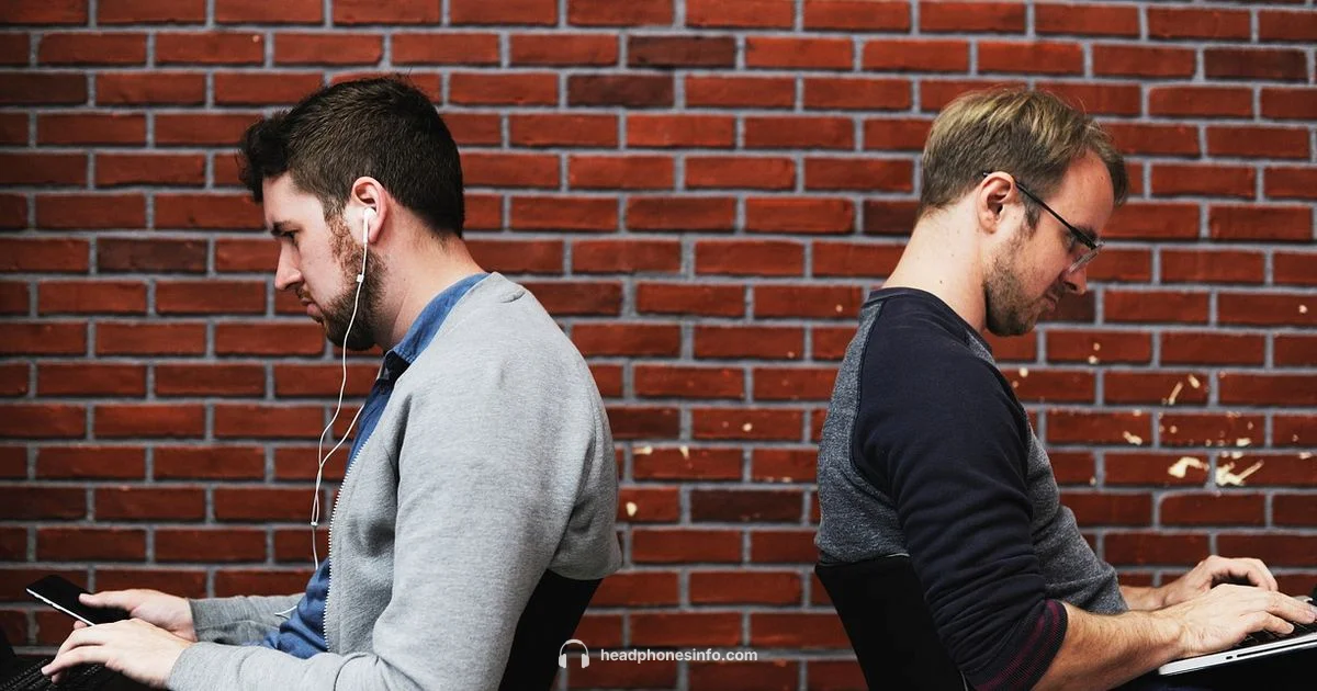 Shure 215 Review - Headphones Info