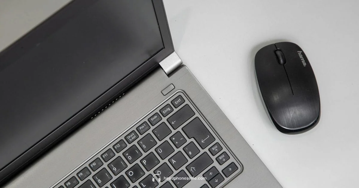 Best USB Wireless Headsets - Headphones Info