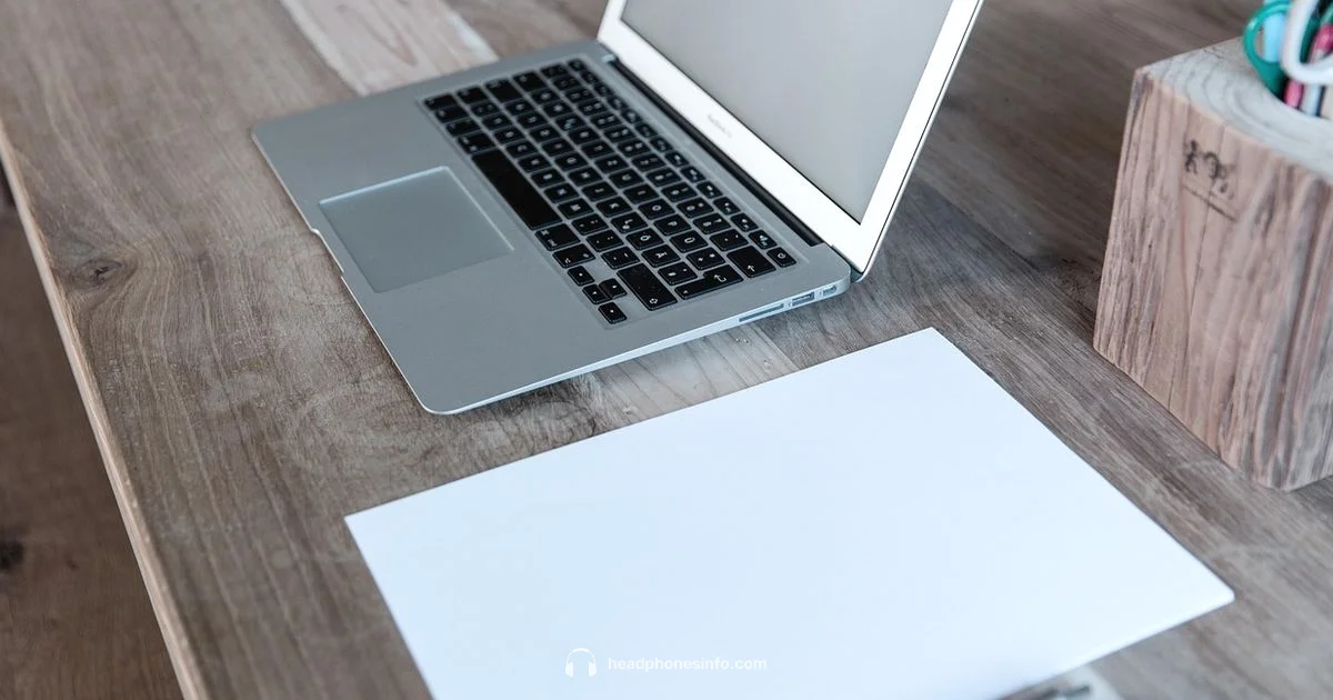 Headphones & Laptop Setup - Headphones Info