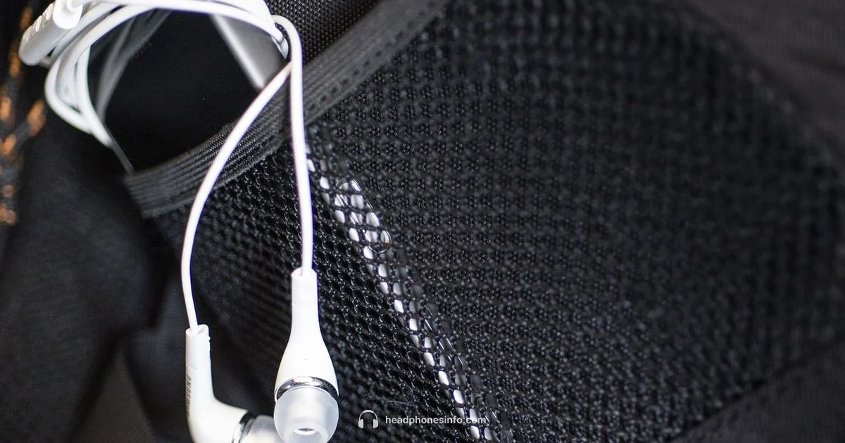 Wired Headphones for iPhone Wired Headphones for iPhone - Headphones Info