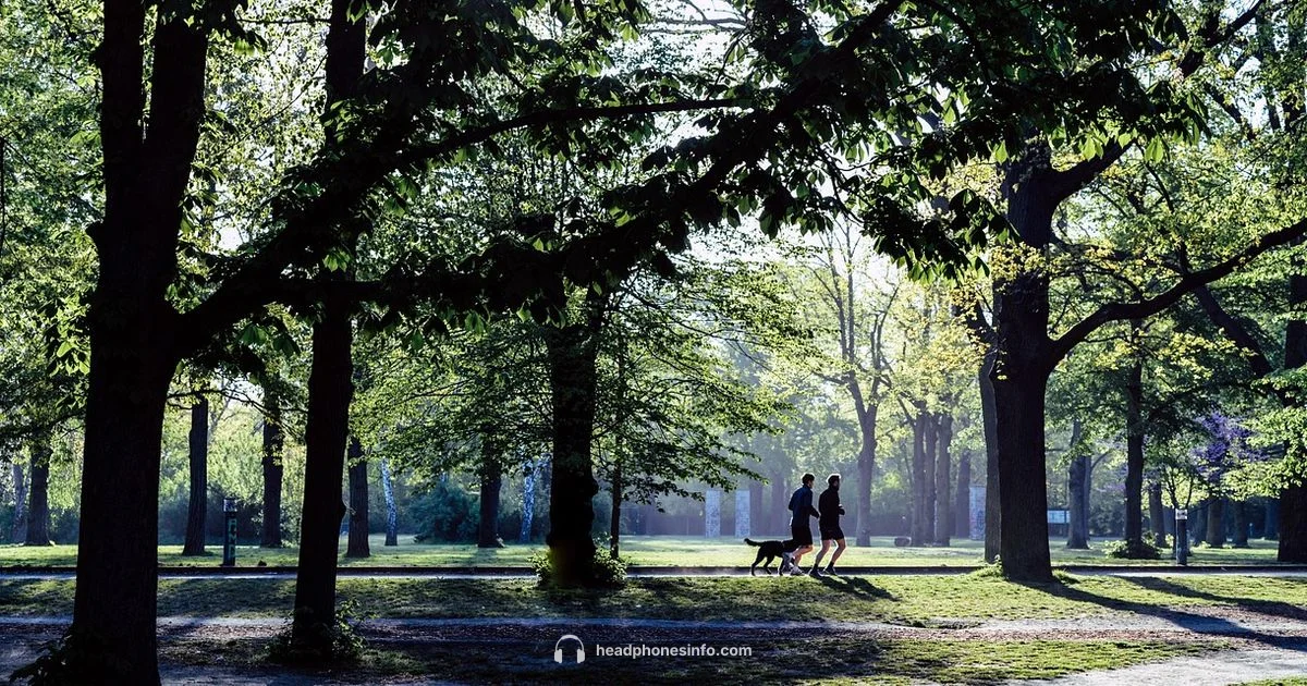 Run Ready Earbuds Run Ready Earbuds - Headphones Info