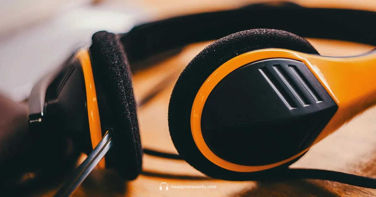 Earwax & Headphones - Headphones Info