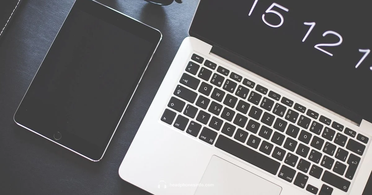 Big Apple Headphones Setup Big Apple Headphones Setup - Headphones Info