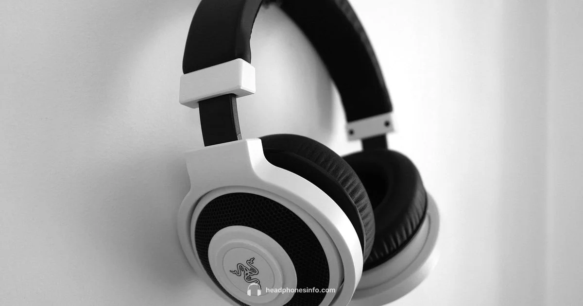 Stereo Headphones Guide - Headphones Info