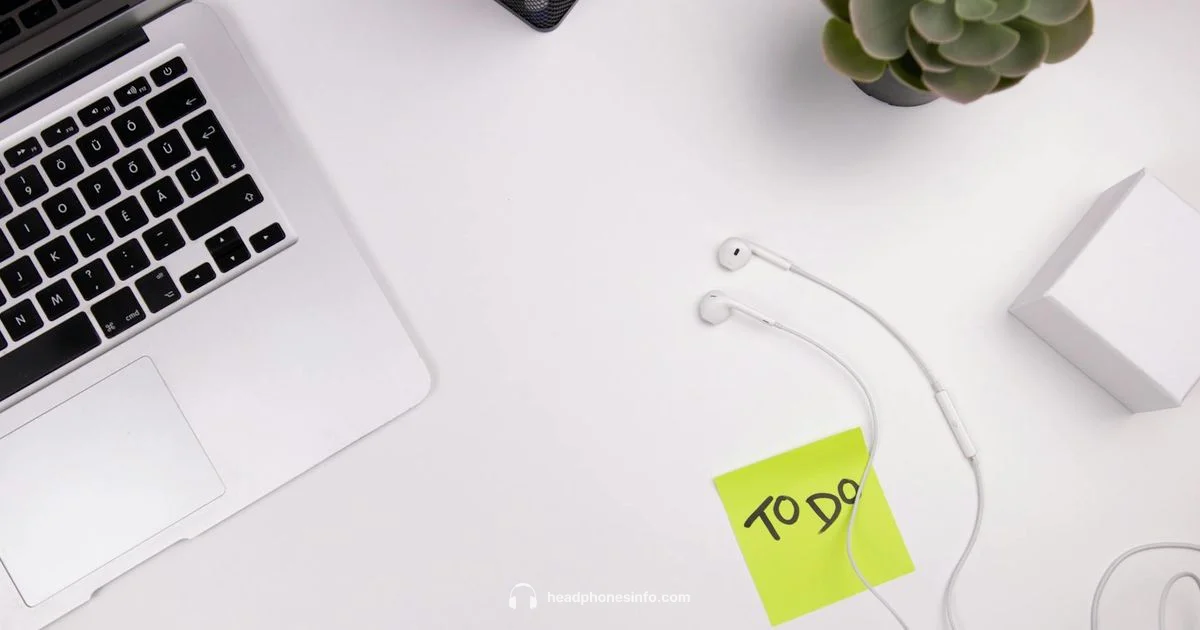 Ear Birds Headphones - Headphones Info