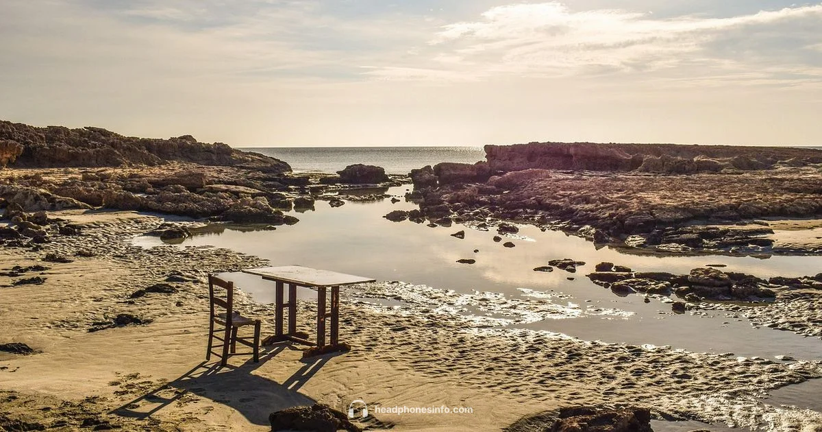 hd560s Review hd560s Review - Headphones Info