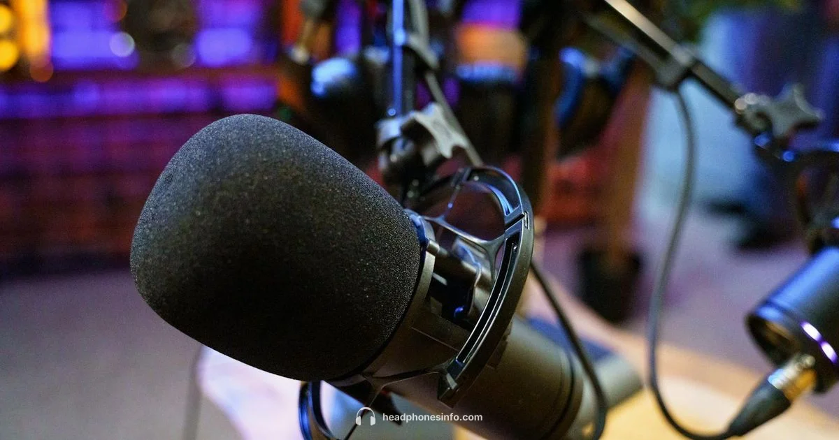 Ath m50x Studio Review - Headphones Info