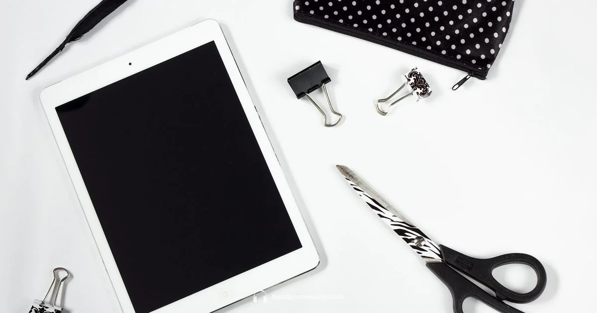 iPad Audio Setup - Headphones Info