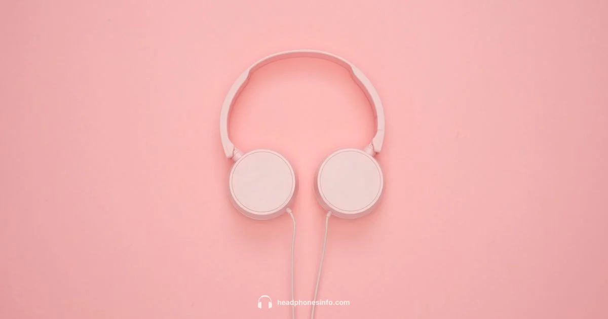 Local Headphone Stores - Headphones Info