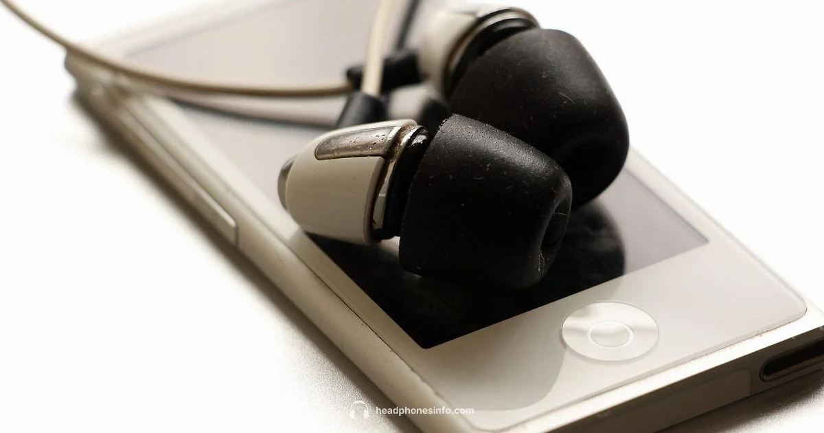 Ear Insertion Guide - Headphones Info