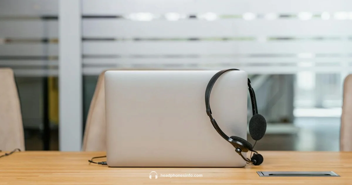 Wired Headphones Guide Wired Headphones Guide - Headphones Info