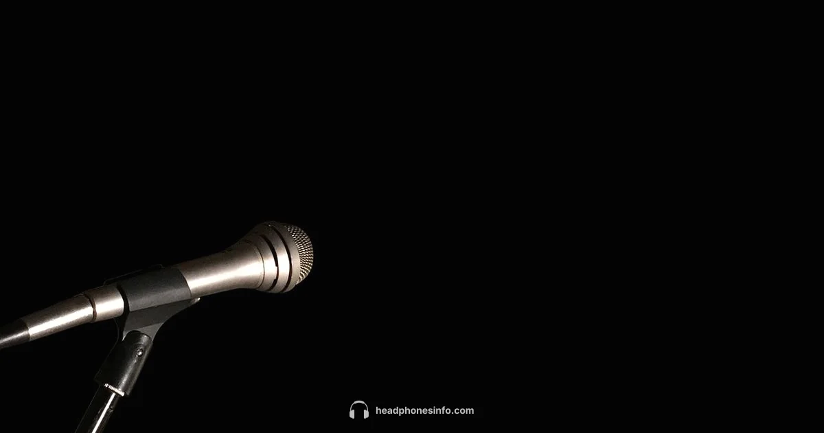 Headphones 100 Guide - Headphones Info