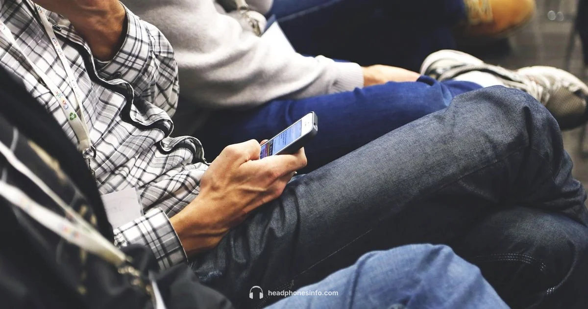 Phone and Headphones - Headphones Info