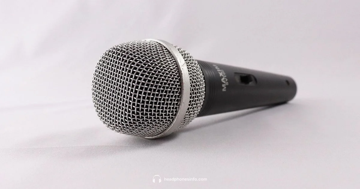 Headphone Mic Check - Headphones Info