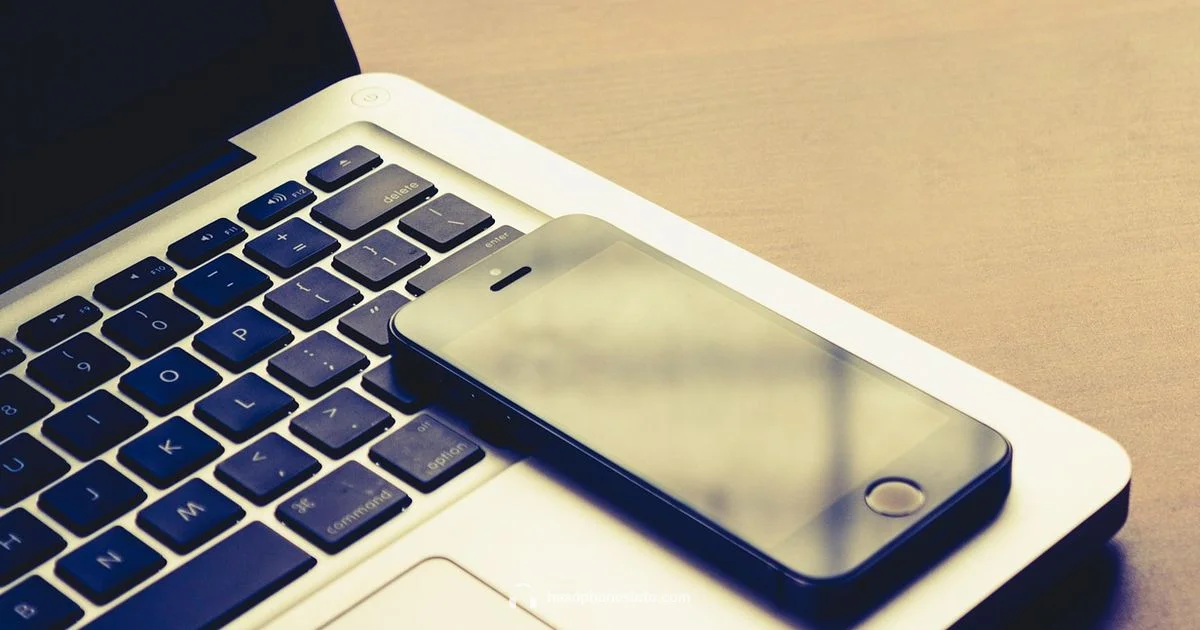 DT 770 Pro Review DT 770 Pro Review - Headphones Info