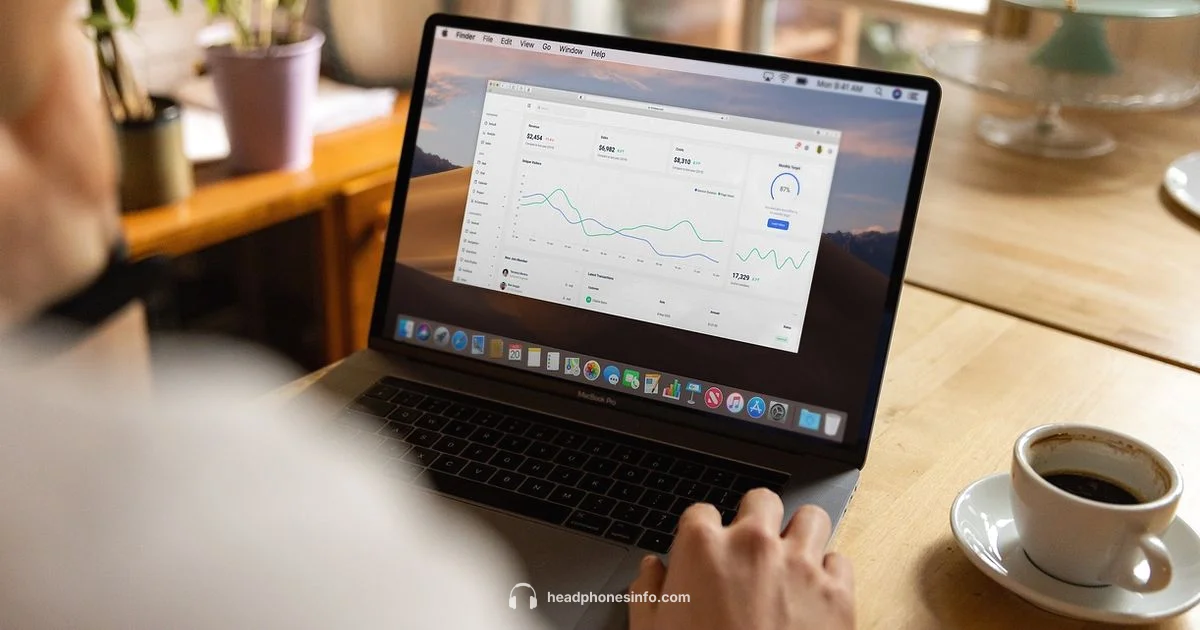 What Headphones Play - Headphones Info