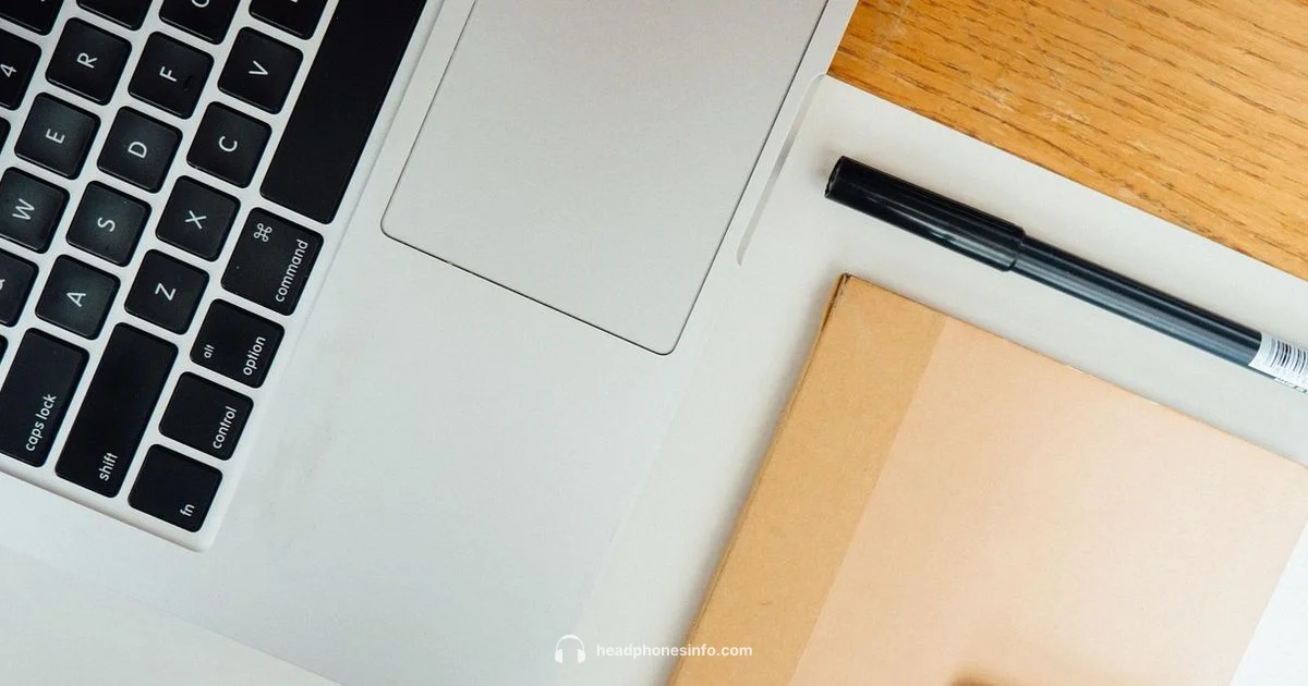 Wired iPhone Headphones - Headphones Info