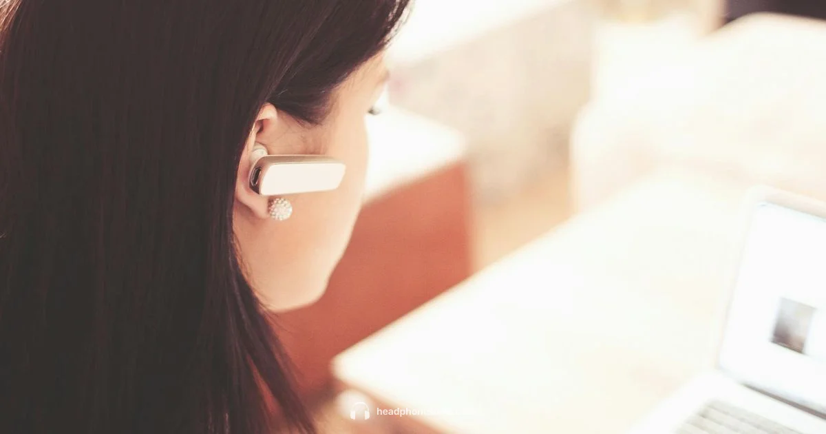 JBL Bluetooth Headset - Headphones Info