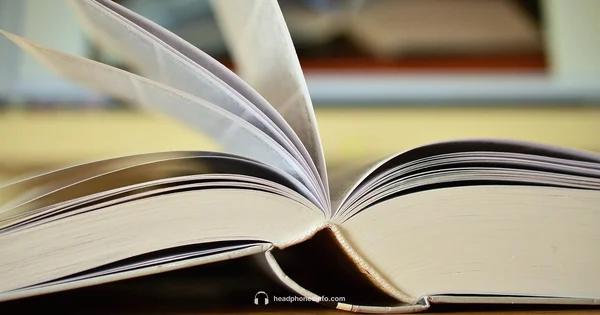 Screen Headphones Overview - Headphones Info