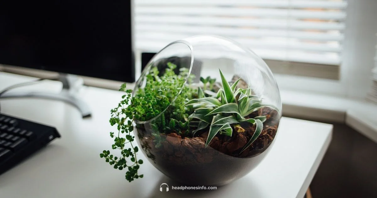 Best Wireless Headset 2026 - Headphones Info