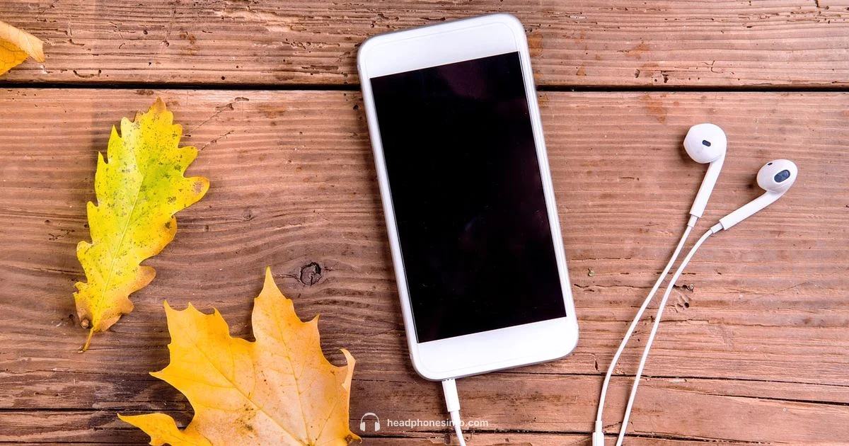 Pairing Sony Headphones - Headphones Info