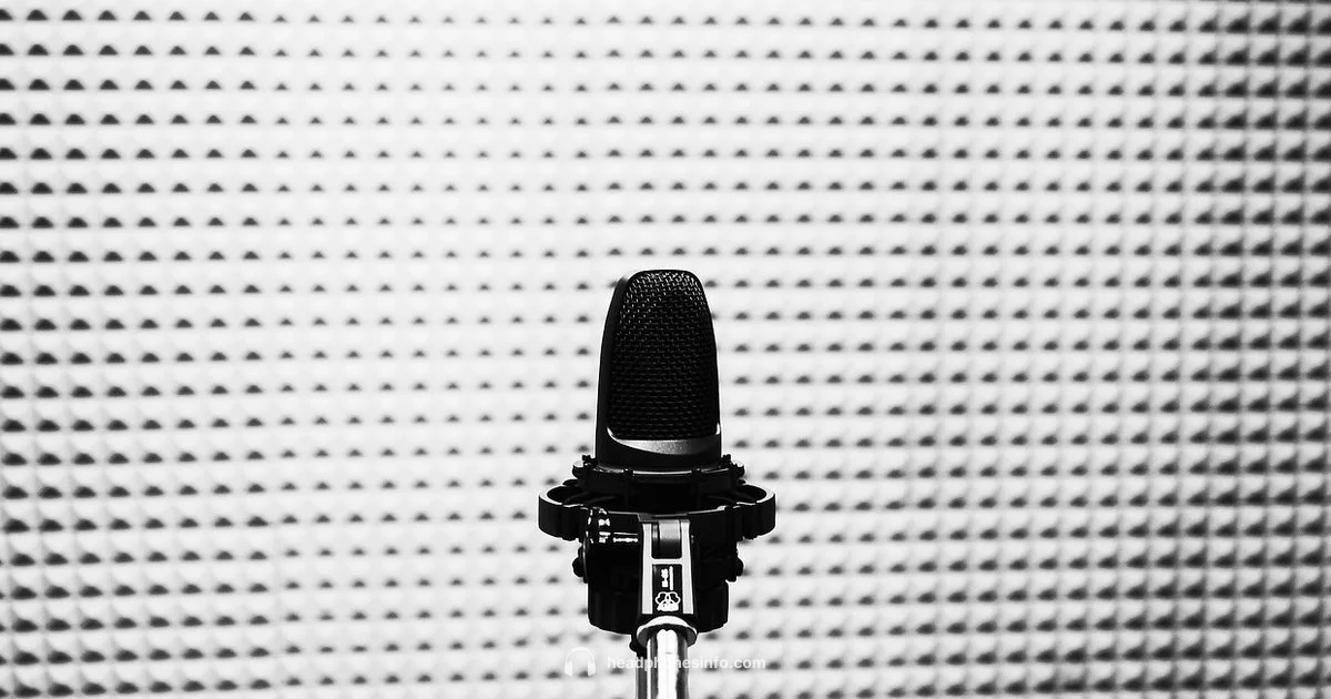 Headphones Roles Explained - Headphones Info