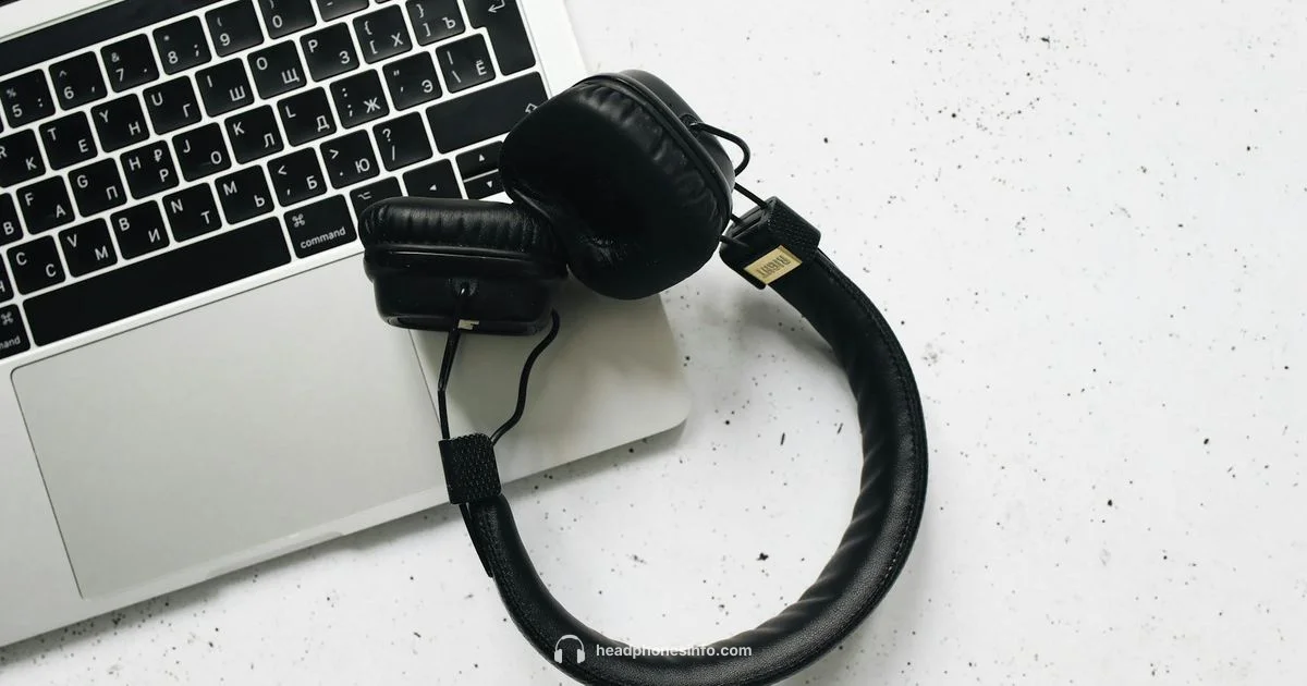 Sandstone Comfort - Headphones Info