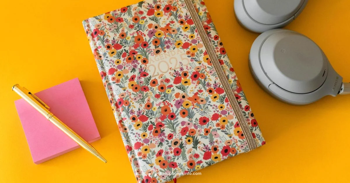 Meme Headphones Trends - Headphones Info