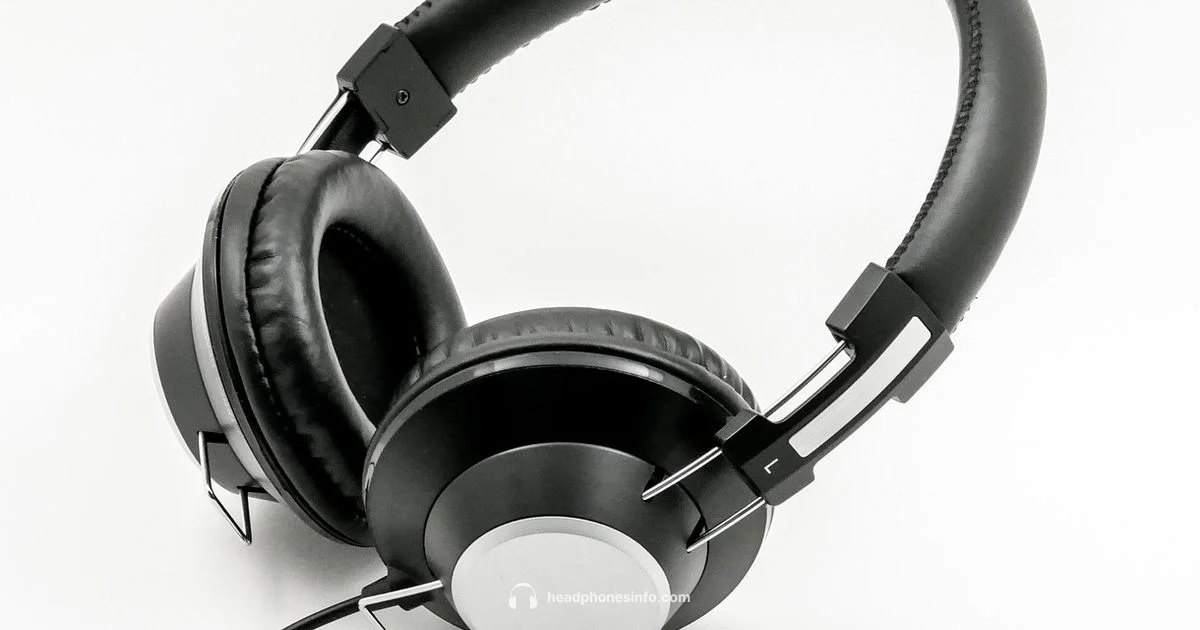 Shared Audio Guide - Headphones Info