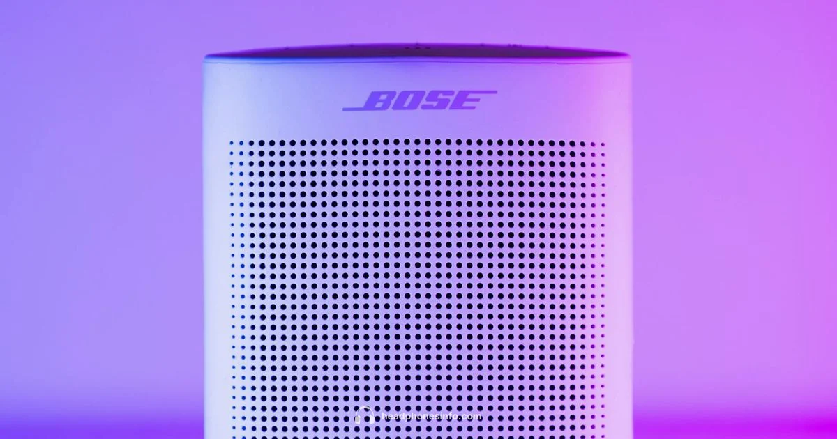 Purple Bose Look - Headphones Info