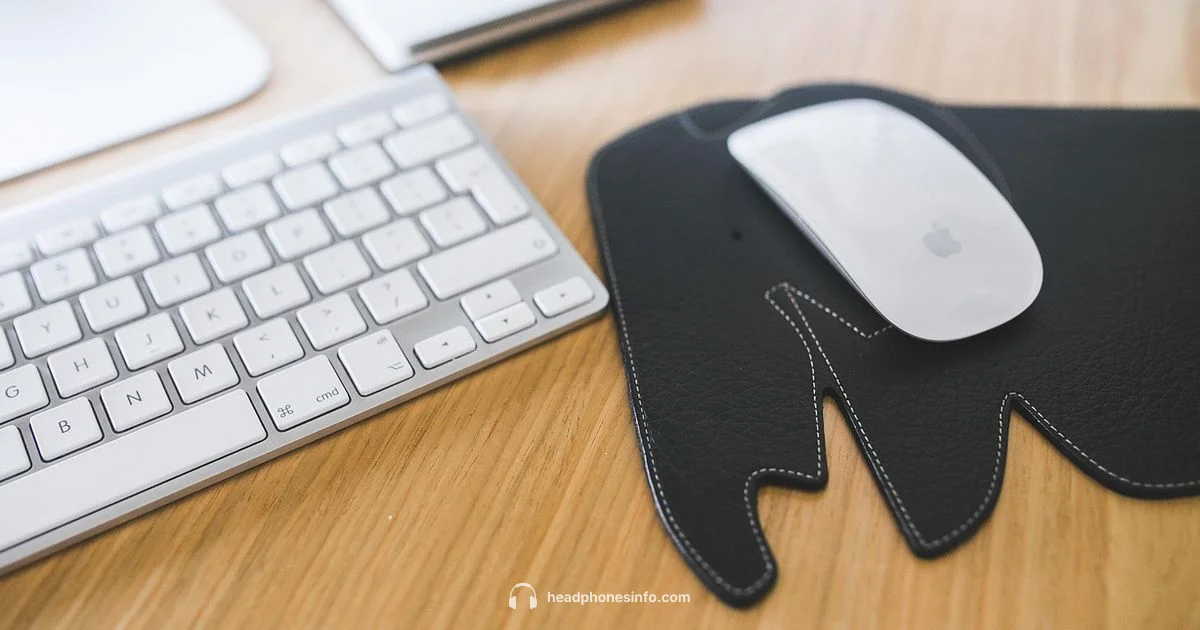 Pads for Bose - Headphones Info