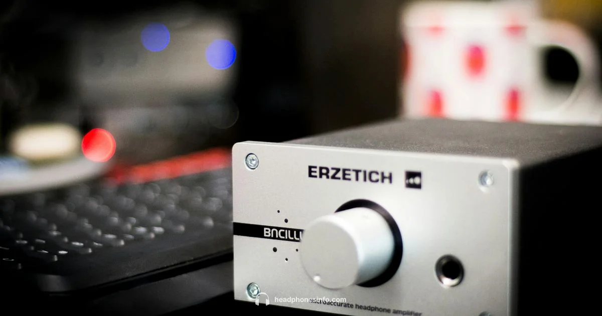 Headphone Amp Guide - Headphones Info