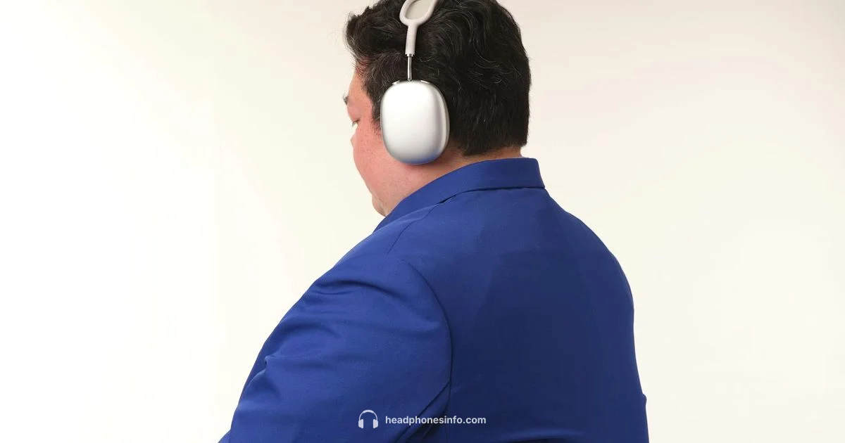 Headphones and Brain - Headphones Info