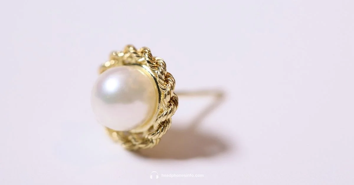 Headphone Earring Guide Headphone Earring Guide - Headphones Info