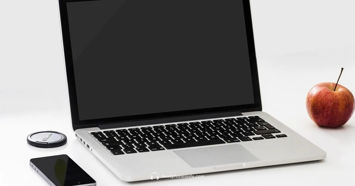 Beats Headphones Overview - Headphones Info