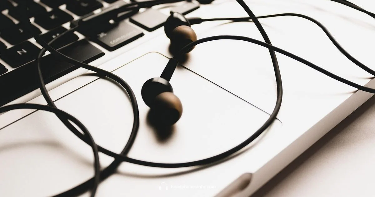 Computer Headphones - Headphones Info