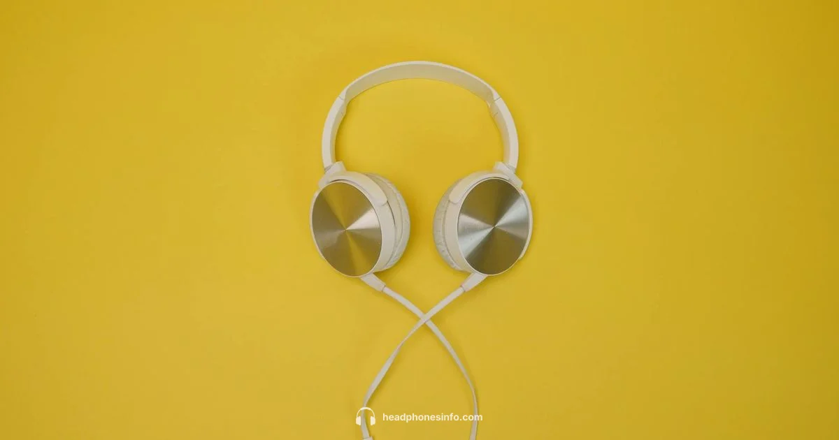 Local Headphone Stores - Headphones Info